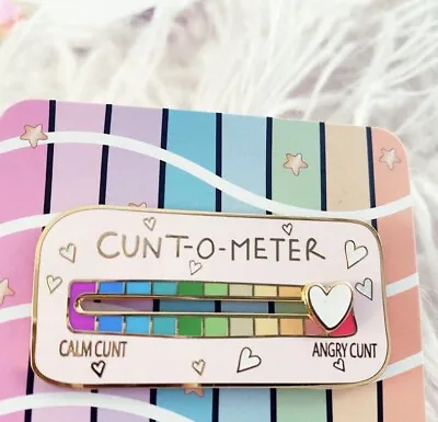 C*nt O Meter Enamel Pin Badge Brooch Moveable Cute Funny Gift Pink Kawaii Rude • £5
