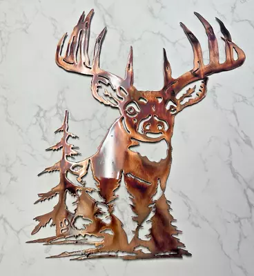 Whitetail Deer  Metal Wall Art 19  X 15  • $53.99