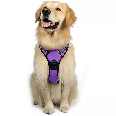 Rabbitgoo Dog Harness No-Pull With 2 Leash Clips Adjustable Pet Vest Reflective • $16.99