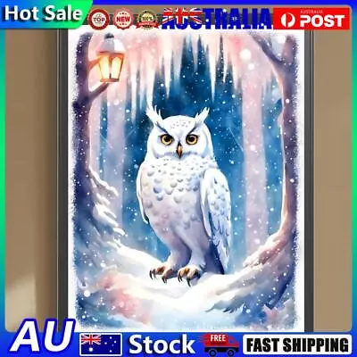 5D DIY Full Round Drill Diamond Painting Owl Kit Home Decor Art Craft 30x40cm • $9.50