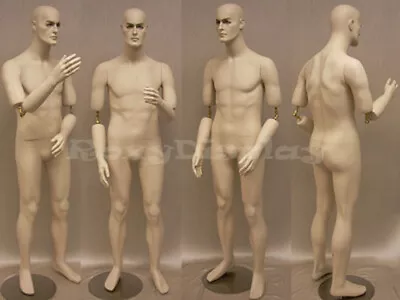 Male Mannequin Short Version Flexible Arms Copper Arm Joints #MD-BC8S • $289