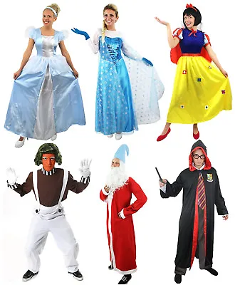 Adult Character Fancy Dress Teacher Book Week Costume Mens Ladies Choose Style • £20.99