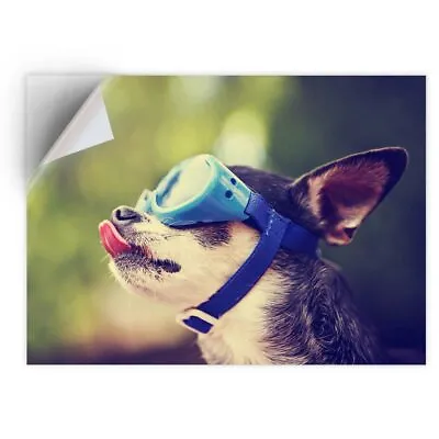 £5.99 • Buy 1 X Vinyl Sticker A4 - Biker Chihuahua Dog  #16415