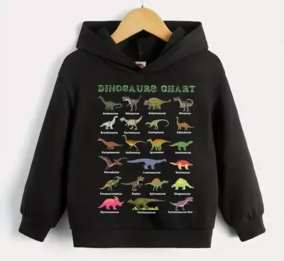 £8.99 • Buy Boys Kids Children DINOSAURS JURASSIC Long Sleeve Pullover HOODIE HOODY Top 1-6