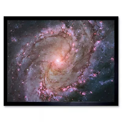 Hubble Space Telescope Spiral Galaxy M83 Star Formation Framed Art Picture 12x16 • $23.49