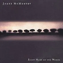 £5.38 • Buy Saint Mary Of The Woods By Mcmurtry,James | CD | Condition Very Good