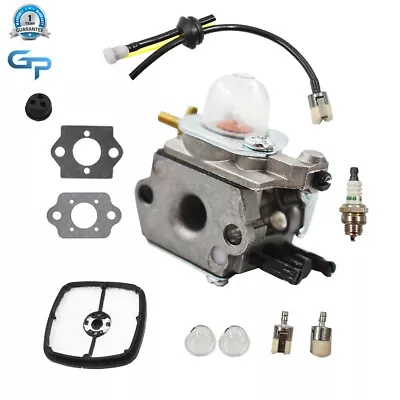 New Carburetor For  Echo PB 1000 Zama C1U-K42A C1U-K42B 12520020561 12520020560 • $15.01