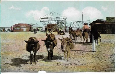£1.69 • Buy Scarce Old Postcard - Donkey Rides On The Beach - Skegness - Lincolnshire C.1913