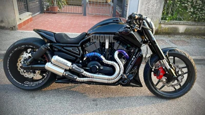 $521 • Buy HOONK Exhaust System For Harley Davidson V-ROD / NIGHT ROD / VROD / V ROD