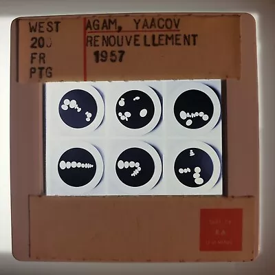 Yaacov Agam  Renouvellement  1957 Art 35mm Glass Slide • $20