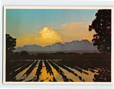 Postcard Sunset Against The Organ Mountains Las Cruces New Mexico USA • $9.09
