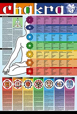 YOGA CHAKRAS OF THE HUMAN BODY Multilingual Wall Chart 27x39 POSTER • £19.09