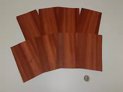 1 Lot Of 8pcs Padauk Raw Veneer Shorts Lot #3140 • $15.49