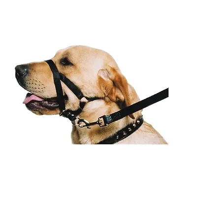 Ancol Dog Training Halter Nylon Head Harness No Pull Halti Trainer - SML MED LGE • £7.46