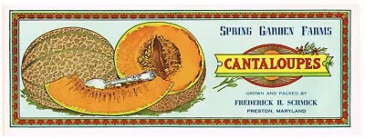 Original Crate Stock Label C1910 Graphic Arts Vintage Melon Preston Maryland • $6.95