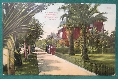 Estate Sale ~ Vintage Postcard - A Tropical Garden Galveston Texas • $3