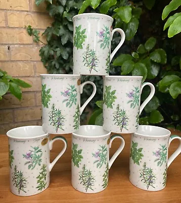 Set Of 6 Fine China Coffee Tea Mugs Herb Garden Pattern • £22.99