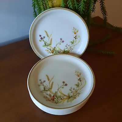 6 X Marks And Spencer / St Michael / M&S Vintage Harvest 6 1/2  Side Plates VGC • £24