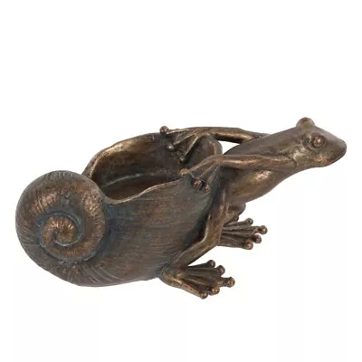 Hermit Frog - Decorative  Ornament - Fantasy  Home  Shell  • £9.50