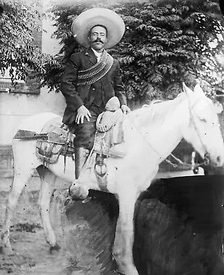Pancho Villa (horse) POSTER 24 X 36 INCH Mexico History Revolution • $23.99