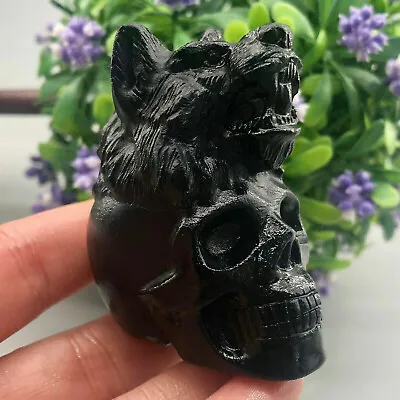 Natural Obsidian Quartz Crystal Hand Carved The Wolf Skull Reiki Healing 1PC • $17.09