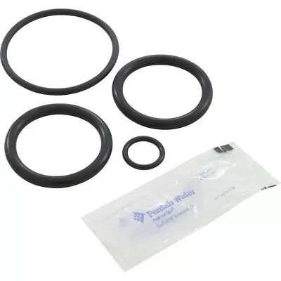 Genuine Pentair PacFab 273109 Noncorosive Slide O-Ring Kit For Push-Pull Valve • $17.99