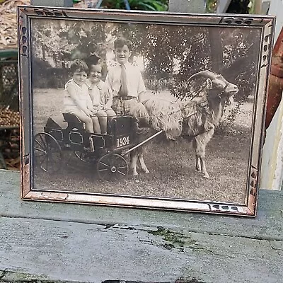 Vintage Antique PIcture Of Kids Goat In  1934 Wagon Cart  Florida Photo 8 X 10 • $70