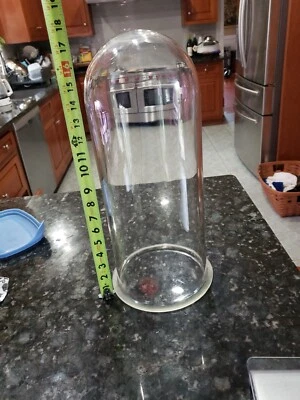 $130 • Buy Scientific Glass Apparatus Co. Bloomfield NJ 17  Vacuum Bell Jar Cloche 8  Dia.