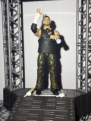 WWE Elite Ecw Ringside Collectibles Exclusive Matt Hardy Action Figure Mattel • $35