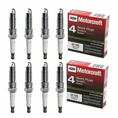 Set Of 8 Motorcraft SP-509 HJFS-24FP Platinum Spark Plugs For Ford Super Duty • $28.59