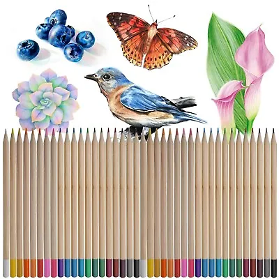 40 PROFESSIONAL COLOURING PENCILS Coloured Pro Artist Art Set Sketching Drawing • £5.98