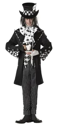 Dark Mad Hatter Adult Halloween Costume • $49.99