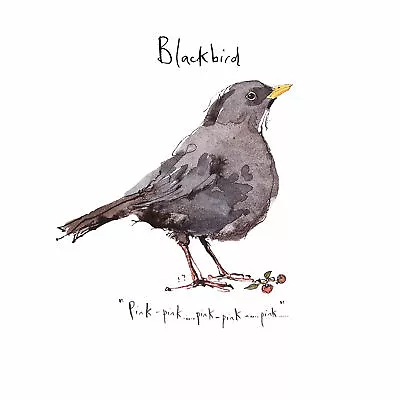 Madeleine Floyd - The Dawn Chorus - Blackbird • £5.24