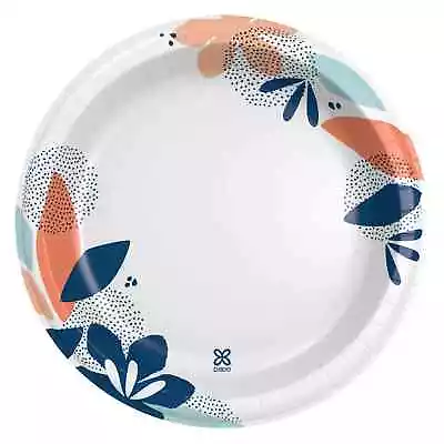 Dixie Disposable Paper Plates 10 In 100 Count • $10.71