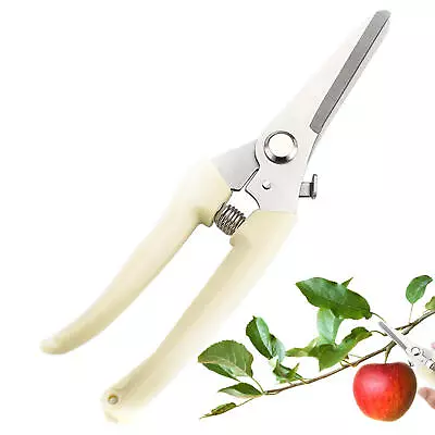 Branch Scissors Pruning Shears Fruit Pruner Scissors Stainless Steel Garden Tool • £7.69