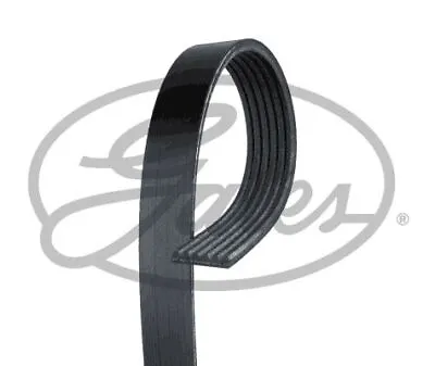 GATES Micro-V Drive Belt For MG ZS 180 25K4F 2.5 Litre April 2002 To July 2005 • $31.93