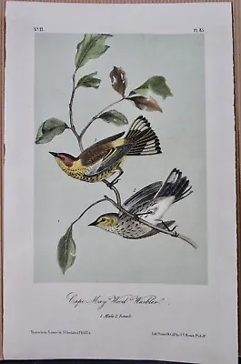 Cape May Wood Warbler Audubon 2nd Edition 1850 Hand Colored  Litho J.t.bowen • $64.95