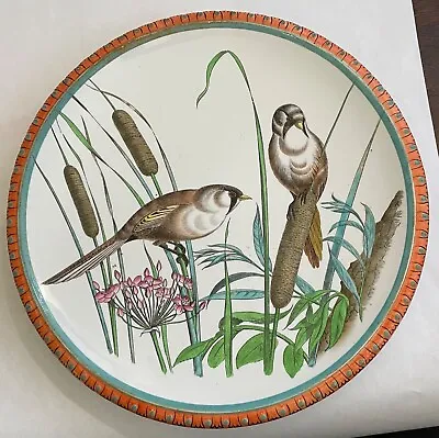 Antique Ashworth English Ironstone China Ceramic Birds Plate 9.5  STUNNING! • $125