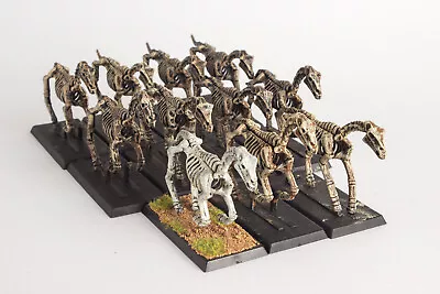 Warhammer Tomb Kings X11 Skeleton Horses Plastic Painted OOP 2002 • £19.99