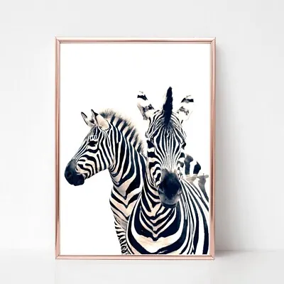 Zebra Print Poster A4  Picture Unframed Animal Pair Wall Art 25 Black White • £3.85