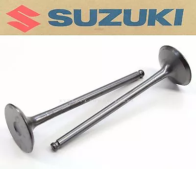 Exhaust Valves 07-22 RMZ250 RM-Z250 OEM Genuine Suzuki Valve #Q195 • $176.90