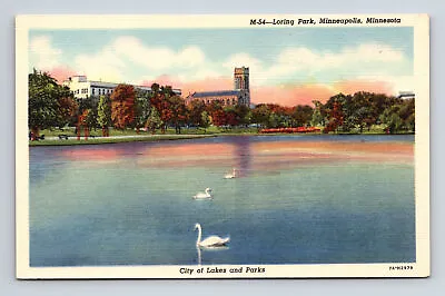 Loring Park White Swans On Lake Minneapolis Minnesota MN Postcard • $3.77