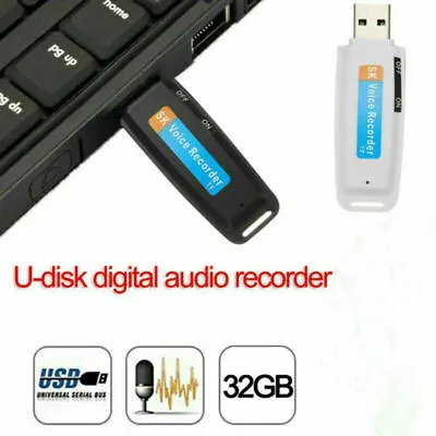 1*USB Disk Digital Audio Voice Recorder Pen Micro SD TF Card Slot For Win 7/8/XP • $5.56