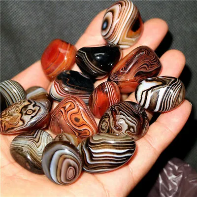 1/2LB Madagascar Crazy Lace SILK Banded Agate Polished Specimen Reiki Healing • $17.99