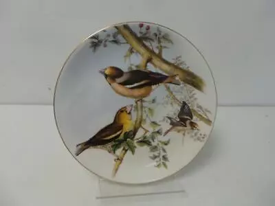 Limited Edition The Hawfinch Plate By Coalport • £11.99