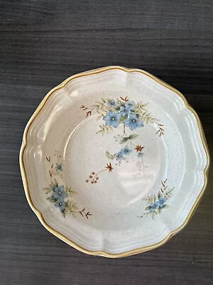 Mikasa Garden Club DAY DREAMS EC461 Salad Plate 8  Lot Of 7 Blue Floral • $24.95