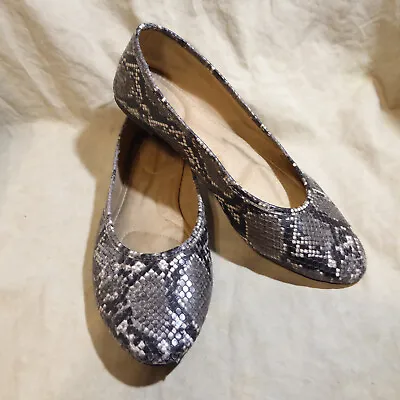 🩰 Old Navy Pointy Toe Ballet Flats 10 M Mottled Gray Snakeskin Leatherette • $15.99