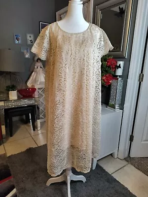 Marina Womens Dress Size 22W Taupe Lace Sheer Lined NWT • $24.99