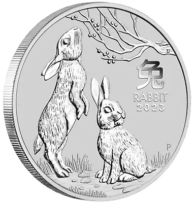 2023 5oz Silver Bullion Lunar Year Of The Rabbit $8 Coin Australia In Capsule • $249.99