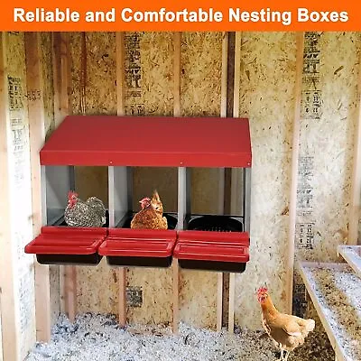 Chicken Nesting Box Hen Laying Nest Boxes 3 Hole Rollout Egg Collection Metal • $85.61